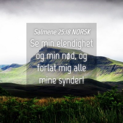 Picture 04 - Salmene 25:18 NORSK - Se min elendighet og min nød, og forlat mig alle - Bible Verse Picture