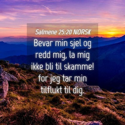 Picture 04 - Salmene 25:20 NORSK - Bevar min sjel og redd mig, la mig ikke bli til - Bible Verse Picture