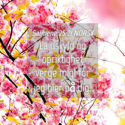 Picture 04 - Salmene 25:21 NORSK - La uskyld og opriktighet verge mig! for jeg bier - Bible Verse Picture