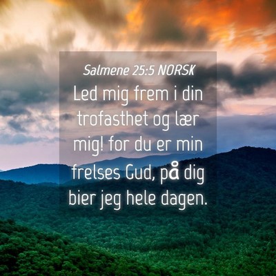 Picture 04 - Salmene 25:5 NORSK - Led mig frem i din trofasthet og lær mig! for du - Bible Verse Picture