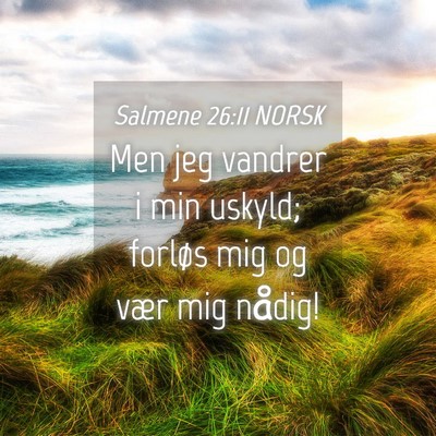 Picture 04 - Salmene 26:11 NORSK - Men jeg vandrer i min uskyld; forløs mig og vær - Bible Verse Picture