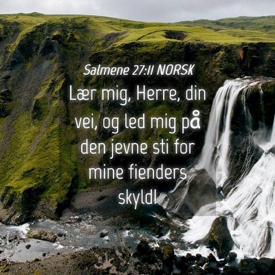 Picture 04 - Salmene 27:11 NORSK - Lær mig, Herre, din vei, og led mig på den - Bible Verse Picture
