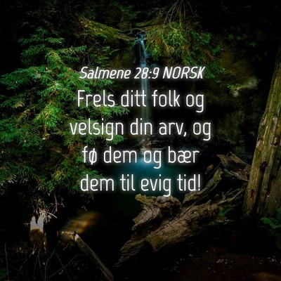Picture 04 - Salmene 28:9 NORSK - Frels ditt folk og velsign din arv, og fø dem og - Bible Verse Picture