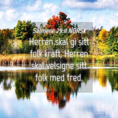 Picture 04 - Salmene 29:11 NORSK - Herren skal gi sitt folk kraft, Herren skal - Bible Verse Picture