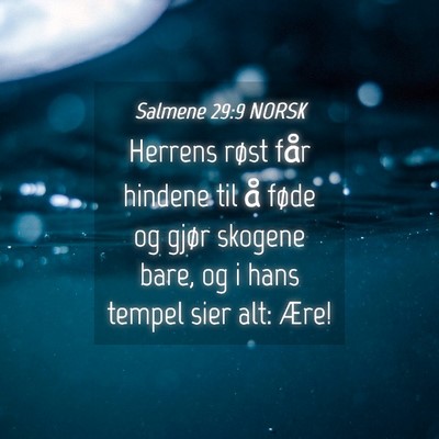 Picture 04 - Salmene 29:9 NORSK - Herrens røst får hindene til å føde og gjør - Bible Verse Picture