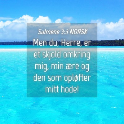 Picture 04 - Salmene 3:3 NORSK - Men du, Herre, er et skjold omkring mig, min ære - Bible Verse Picture