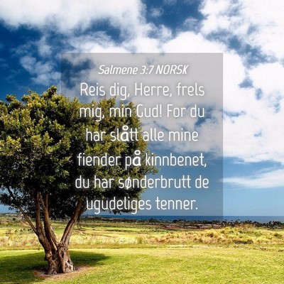 Picture 04 - Salmene 3:7 NORSK - Reis dig, Herre, frels mig, min Gud! For du har - Bible Verse Picture