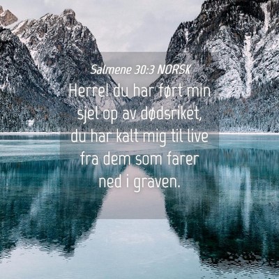 Picture 04 - Salmene 30:3 NORSK - Herre! du har ført min sjel op av dødsriket, du - Bible Verse Picture
