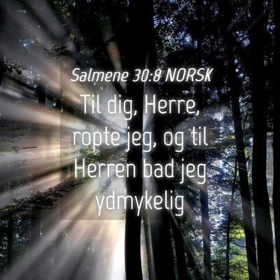 Picture 04 - Salmene 30:8 NORSK - Til dig, Herre, ropte jeg, og til Herren bad jeg - Bible Verse Picture