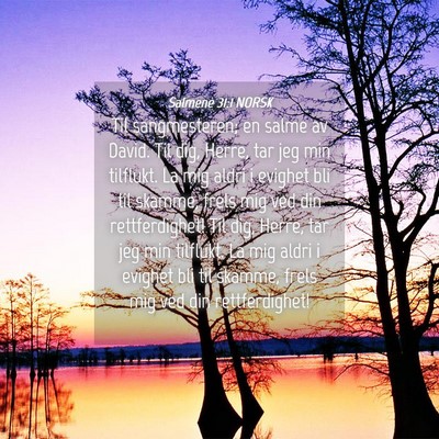 Picture 04 - Salmene 31:1 NORSK - Til sangmesteren; en salme av David. Til dig, - Bible Verse Picture
