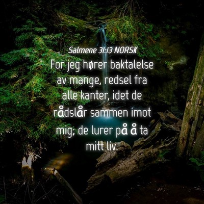 Picture 04 - Salmene 31:13 NORSK - For jeg hører baktalelse av mange, redsel fra - Bible Verse Picture