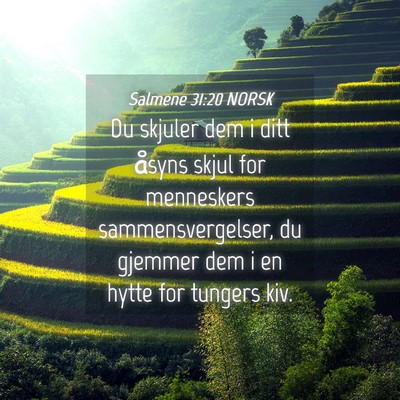 Picture 04 - Salmene 31:20 NORSK - Du skjuler dem i ditt åsyns skjul for menneskers - Bible Verse Picture