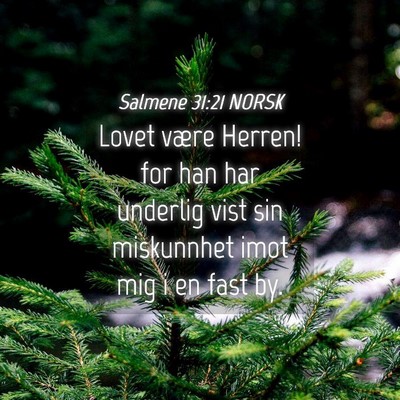 Picture 04 - Salmene 31:21 NORSK - Lovet være Herren! for han har underlig vist sin - Bible Verse Picture