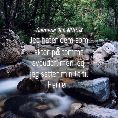 Picture 04 - Salmene 31:6 NORSK - Jeg hater dem som akter på tomme avguder, men - Bible Verse Picture
