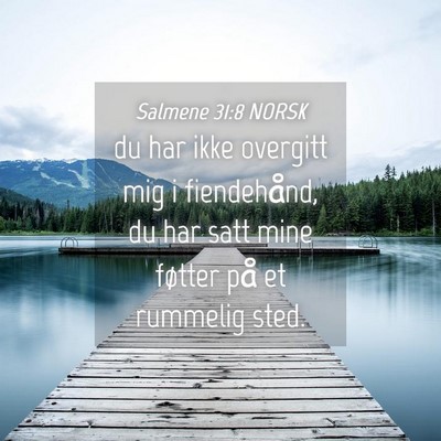 Picture 04 - Salmene 31:8 NORSK - du har ikke overgitt mig i fiendehånd, du har - Bible Verse Picture