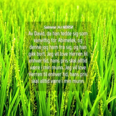 Picture 04 - Salmene 34:1 NORSK - Av David, da han tedde sig som vanvittig for - Bible Verse Picture