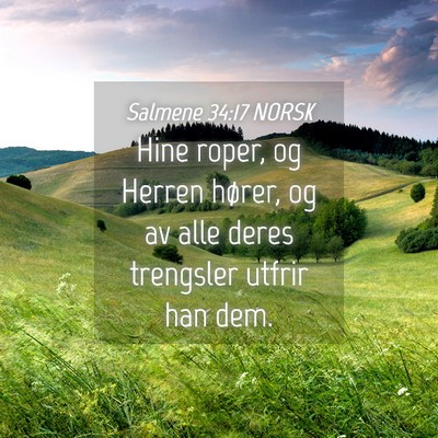 Picture 04 - Salmene 34:17 NORSK - Hine roper, og Herren hører, og av alle deres - Bible Verse Picture