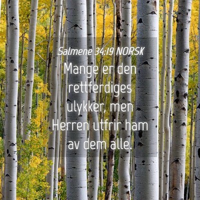 Picture 04 - Salmene 34:19 NORSK - Mange er den rettferdiges ulykker, men Herren - Bible Verse Picture