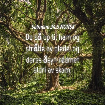 Picture 04 - Salmene 34:5 NORSK - De så op til ham og strålte av glede, og deres - Bible Verse Picture