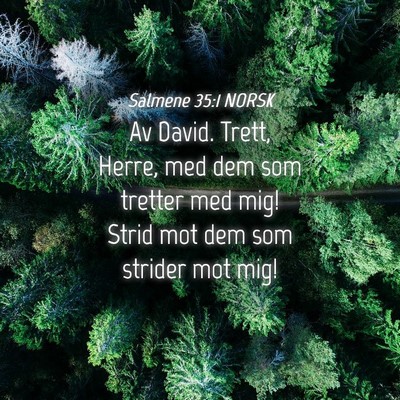 Picture 04 - Salmene 35:1 NORSK - Av David. Trett, Herre, med dem som tretter med - Bible Verse Picture