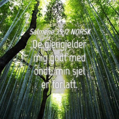 Picture 04 - Salmene 35:12 NORSK - De gjengjelder mig godt med ondt; min sjel er - Bible Verse Picture