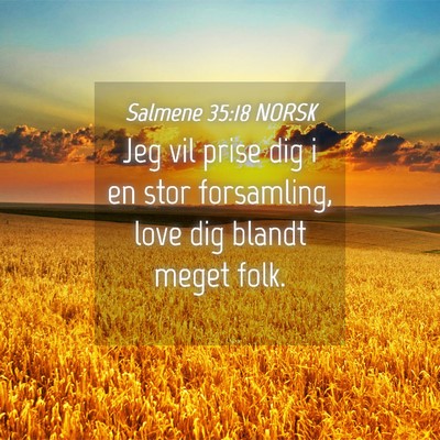 Picture 04 - Salmene 35:18 NORSK - Jeg vil prise dig i en stor forsamling, love dig - Bible Verse Picture