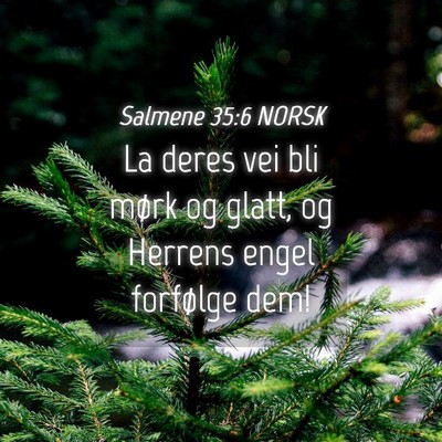 Picture 04 - Salmene 35:6 NORSK - La deres vei bli mørk og glatt, og Herrens engel - Bible Verse Picture