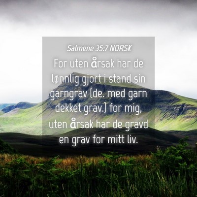Picture 04 - Salmene 35:7 NORSK - For uten årsak har de lønnlig gjort i stand sin - Bible Verse Picture