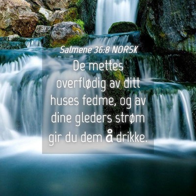Picture 04 - Salmene 36:8 NORSK - De mettes overflødig av ditt huses fedme, og av - Bible Verse Picture