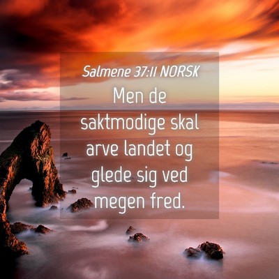 Picture 04 - Salmene 37:11 NORSK - Men de saktmodige skal arve landet og glede sig - Bible Verse Picture