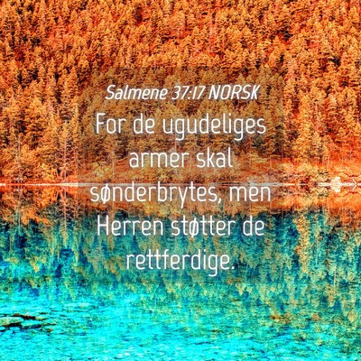 Picture 04 - Salmene 37:17 NORSK - For de ugudeliges armer skal sønderbrytes, men - Bible Verse Picture