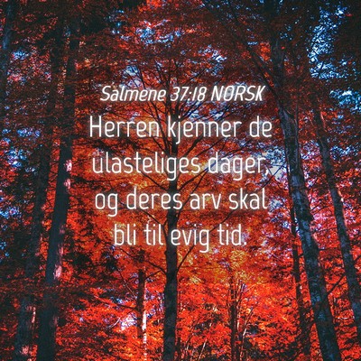 Picture 04 - Salmene 37:18 NORSK - Herren kjenner de ulasteliges dager, og deres arv - Bible Verse Picture