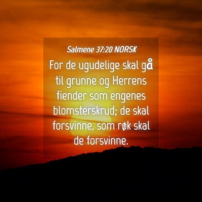 Picture 04 - Salmene 37:20 NORSK - For de ugudelige skal gå til grunne og Herrens - Bible Verse Picture
