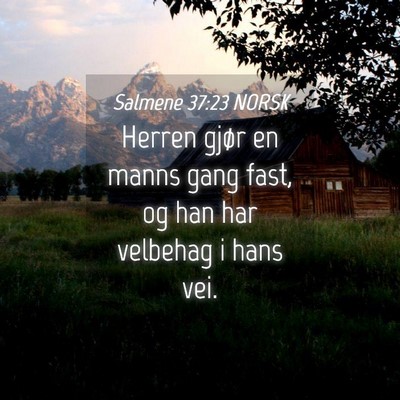 Picture 04 - Salmene 37:23 NORSK - Herren gjør en manns gang fast, og han har - Bible Verse Picture