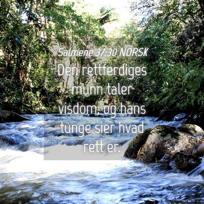 Picture 04 - Salmene 37:30 NORSK - Den rettferdiges munn taler visdom, og hans tunge - Bible Verse Picture