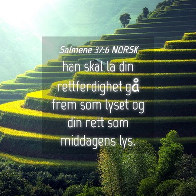Picture 04 - Salmene 37:6 NORSK - han skal la din rettferdighet gå frem som lyset - Bible Verse Picture