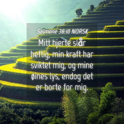 Picture 04 - Salmene 38:10 NORSK - Mitt hjerte slår heftig, min kraft har sviktet - Bible Verse Picture