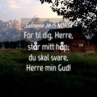 Picture 04 - Salmene 38:15 NORSK - For til dig, Herre, står mitt håp; du skal - Bible Verse Picture