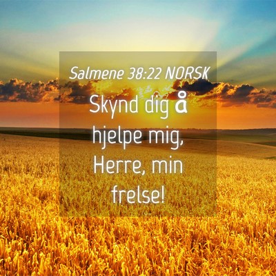 Picture 04 - Salmene 38:22 NORSK - Skynd dig å hjelpe mig, Herre, min - Bible Verse Picture