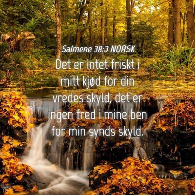 Picture 04 - Salmene 38:3 NORSK - Det er intet friskt i mitt kjød for din vredes - Bible Verse Picture