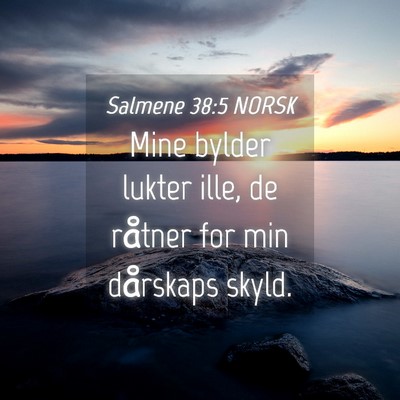 Picture 04 - Salmene 38:5 NORSK - Mine bylder lukter ille, de råtner for min - Bible Verse Picture
