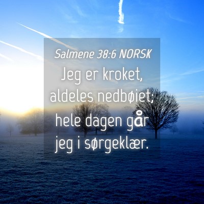 Picture 04 - Salmene 38:6 NORSK - Jeg er kroket, aldeles nedbøiet; hele dagen går - Bible Verse Picture