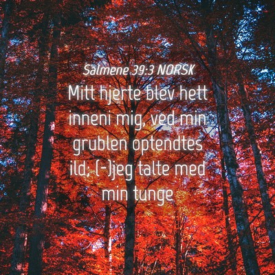 Picture 04 - Salmene 39:3 NORSK - Mitt hjerte blev hett inneni mig, ved min grublen - Bible Verse Picture