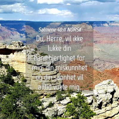 Picture 04 - Salmene 40:11 NORSK - Du, Herre, vil ikke lukke din barmhjertighet for - Bible Verse Picture