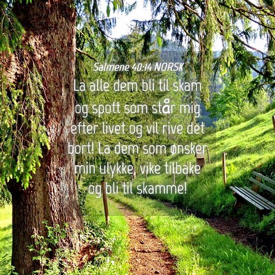 Picture 04 - Salmene 40:14 NORSK - La alle dem bli til skam og spott som står mig - Bible Verse Picture
