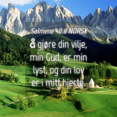 Picture 04 - Salmene 40:8 NORSK - å gjøre din vilje, min Gud, er min lyst, og din - Bible Verse Picture