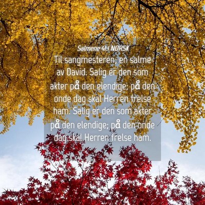 Picture 04 - Salmene 41:1 NORSK - Til sangmesteren; en salme av David. Salig er den - Bible Verse Picture