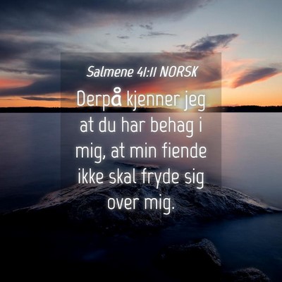 Picture 04 - Salmene 41:11 NORSK - Derpå kjenner jeg at du har behag i mig, at min - Bible Verse Picture