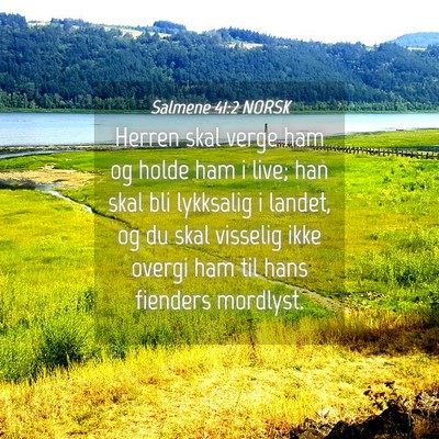 Picture 04 - Salmene 41:2 NORSK - Herren skal verge ham og holde ham i live; han - Bible Verse Picture