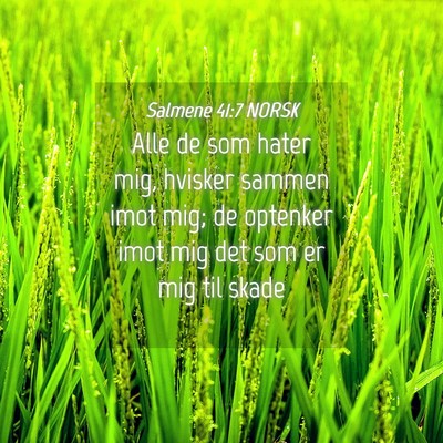 Picture 04 - Salmene 41:7 NORSK - Alle de som hater mig, hvisker sammen imot mig; - Bible Verse Picture